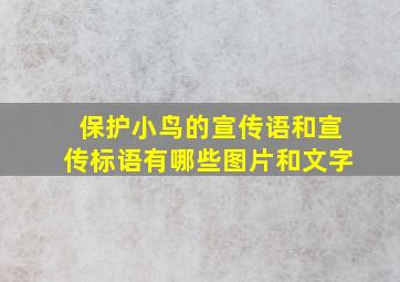 保护小鸟的宣传语和宣传标语有哪些图片和文字