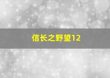 信长之野望12