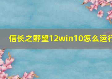 信长之野望12win10怎么运行