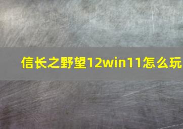 信长之野望12win11怎么玩