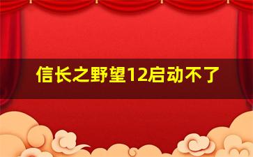 信长之野望12启动不了