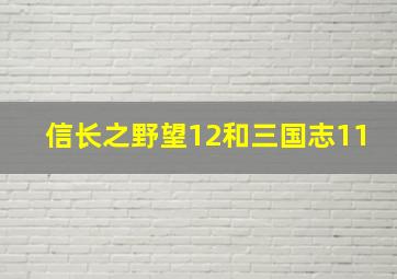 信长之野望12和三国志11