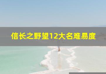 信长之野望12大名难易度