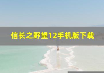 信长之野望12手机版下载