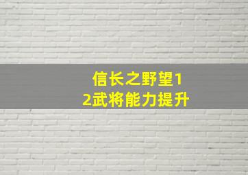 信长之野望12武将能力提升