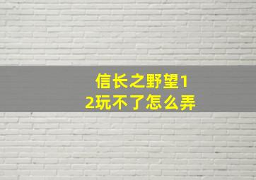 信长之野望12玩不了怎么弄