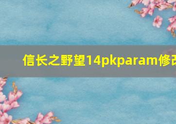 信长之野望14pkparam修改