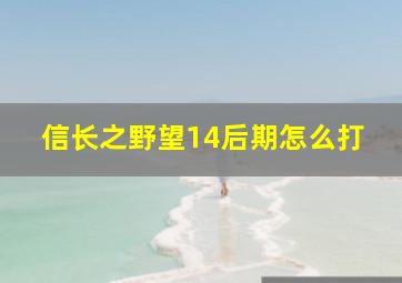 信长之野望14后期怎么打