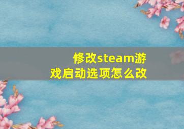 修改steam游戏启动选项怎么改