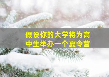 假设你的大学将为高中生举办一个夏令营