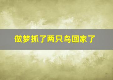 做梦抓了两只鸟回家了