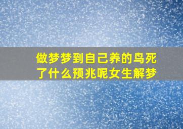 做梦梦到自己养的鸟死了什么预兆呢女生解梦