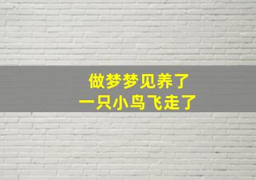 做梦梦见养了一只小鸟飞走了