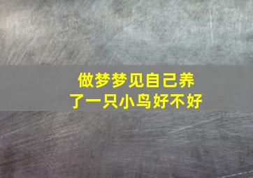 做梦梦见自己养了一只小鸟好不好