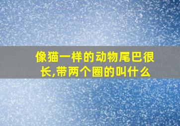 像猫一样的动物尾巴很长,带两个圈的叫什么