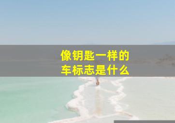 像钥匙一样的车标志是什么