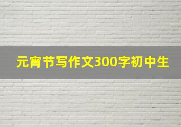 元宵节写作文300字初中生