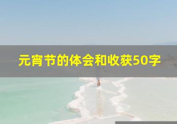 元宵节的体会和收获50字