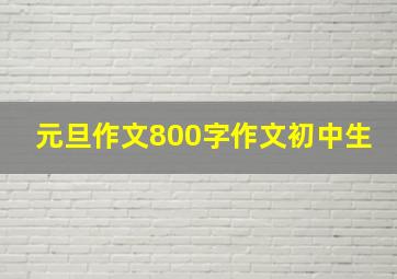 元旦作文800字作文初中生