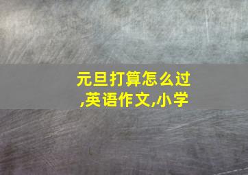 元旦打算怎么过,英语作文,小学