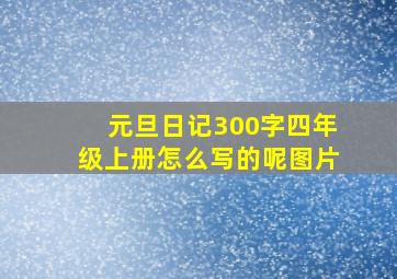 元旦日记300字四年级上册怎么写的呢图片