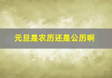 元旦是农历还是公历啊