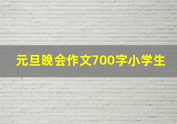 元旦晚会作文700字小学生