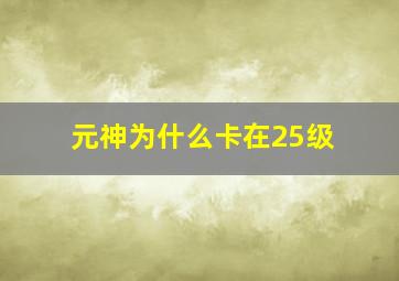 元神为什么卡在25级