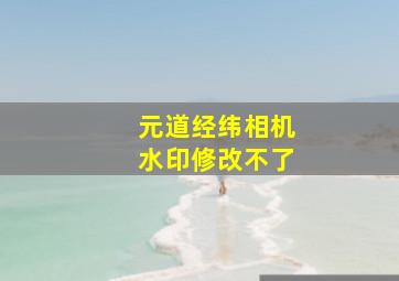 元道经纬相机水印修改不了