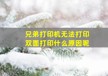 兄弟打印机无法打印双面打印什么原因呢