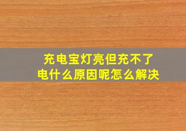 充电宝灯亮但充不了电什么原因呢怎么解决