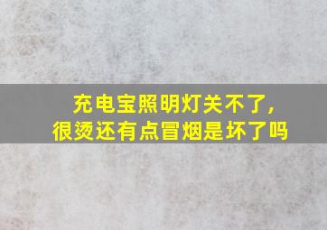 充电宝照明灯关不了,很烫还有点冒烟是坏了吗