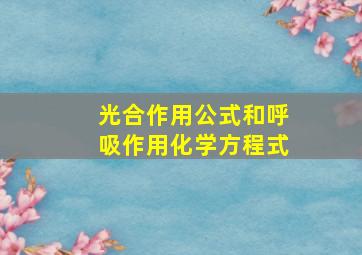 光合作用公式和呼吸作用化学方程式