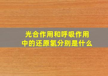 光合作用和呼吸作用中的还原氢分别是什么