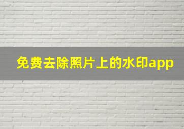 免费去除照片上的水印app