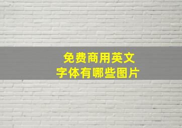 免费商用英文字体有哪些图片