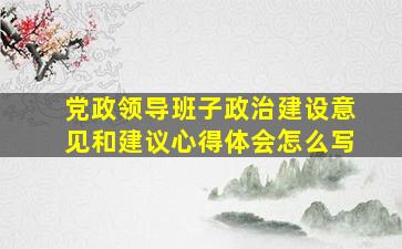 党政领导班子政治建设意见和建议心得体会怎么写