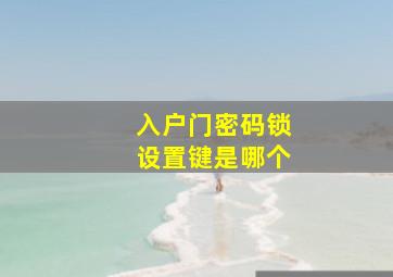 入户门密码锁设置键是哪个