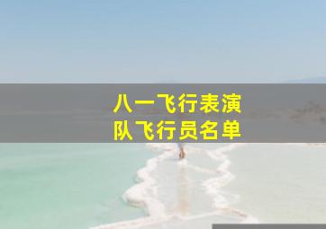 八一飞行表演队飞行员名单