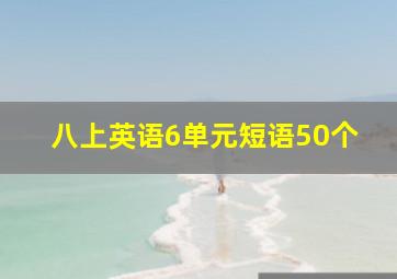 八上英语6单元短语50个