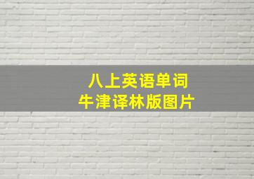 八上英语单词牛津译林版图片