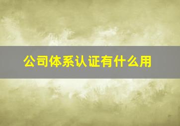 公司体系认证有什么用