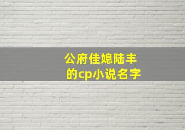 公府佳媳陆丰的cp小说名字