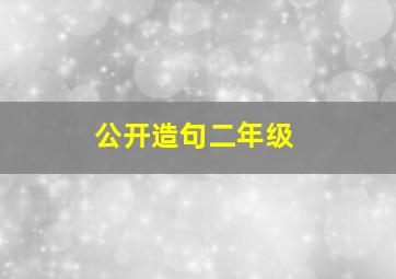 公开造句二年级