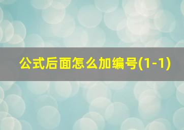 公式后面怎么加编号(1-1)