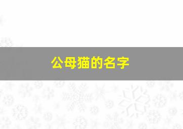 公母猫的名字