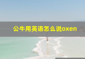 公牛用英语怎么说oxen