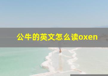 公牛的英文怎么读oxen