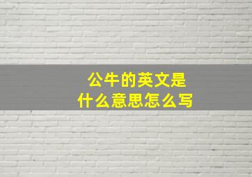 公牛的英文是什么意思怎么写