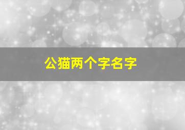 公猫两个字名字